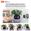AI Smart Planter – Grow Plants Easily with Tuya Technology
